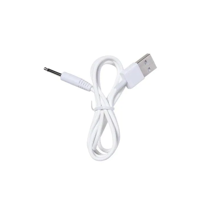 Honey Play Box Vibrators Charger DC02 Cable CH0702