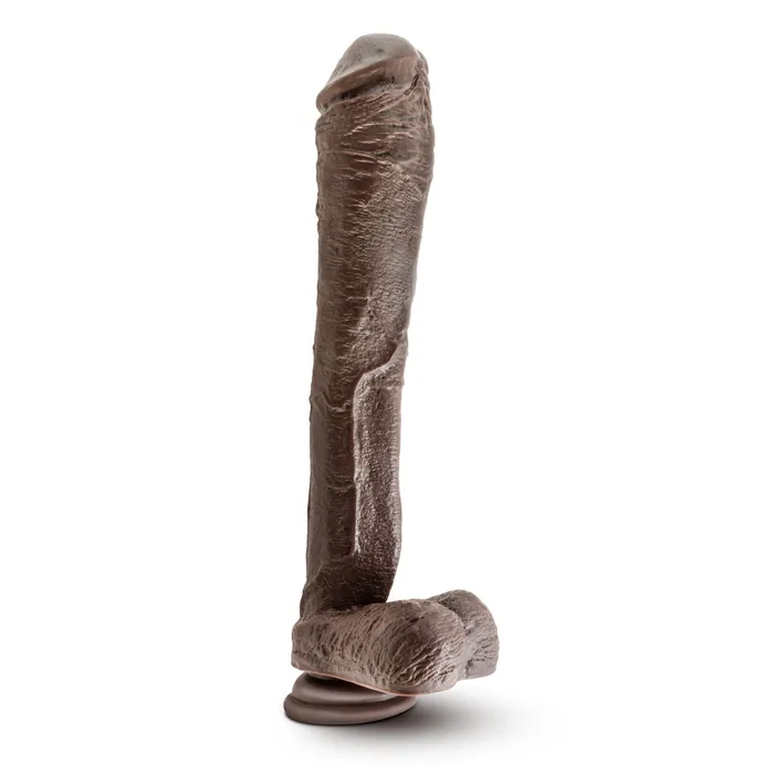 Female Sex Toys Blush Novelties Dr Skin Mr Ed 13 Inch Dildo With Suction Cup Chocolate
