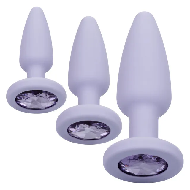 Vibrators First Time Crystal Booty Kit Purple California Exotic Novelties