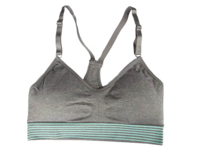 Vibrators Sunset Intimates Low Impact Grey and Blue Sports Bra